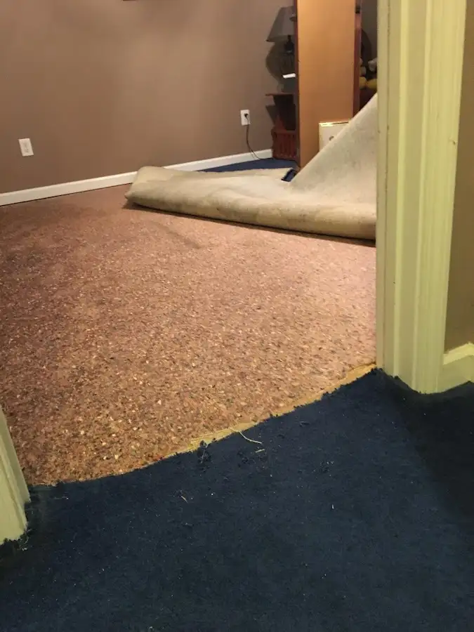 Carpet pad removal revealing water damage during Water Mitigation Services in Paxton