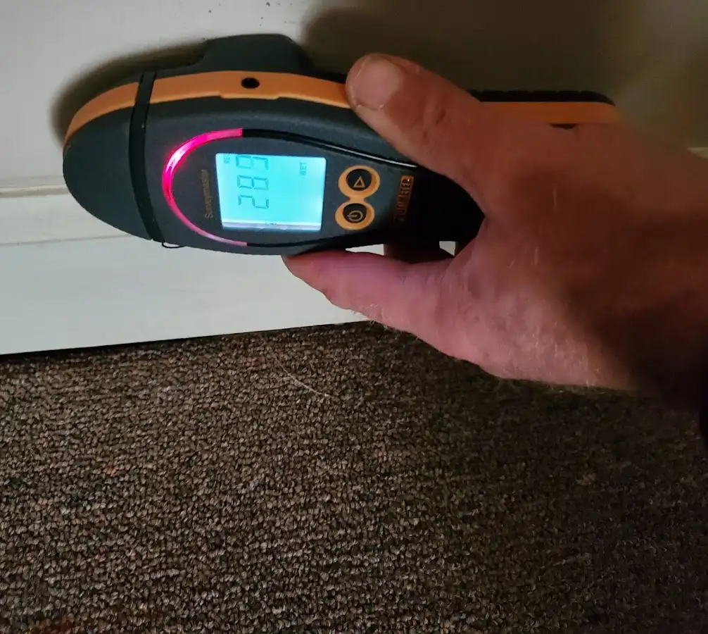 Moisture detection at baseboard during Sewage Cleanup & Sanitation in Paxton